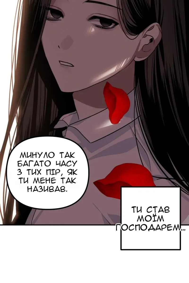 Сторінка 8