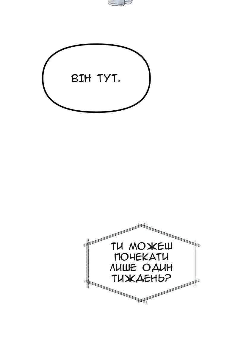 Сторінка 46