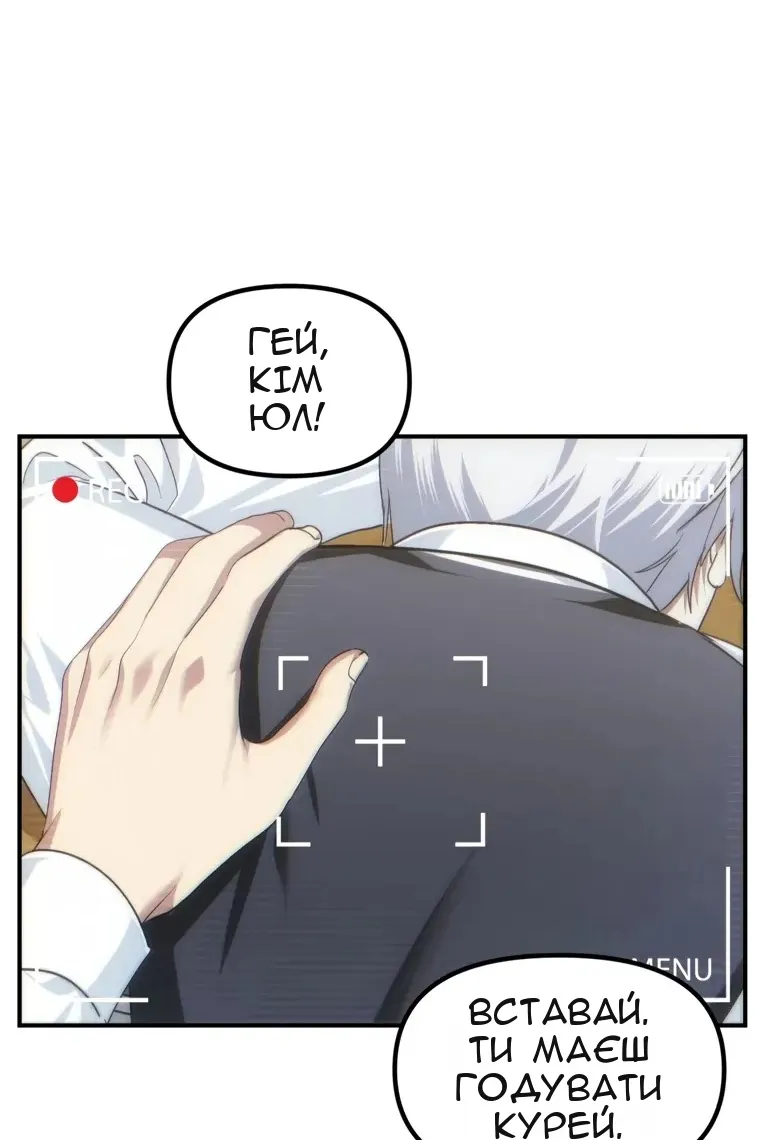 Сторінка 29