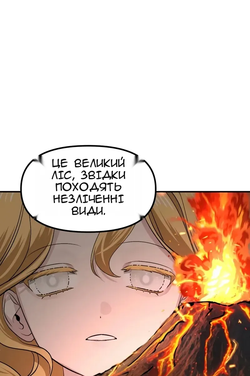 Сторінка 91