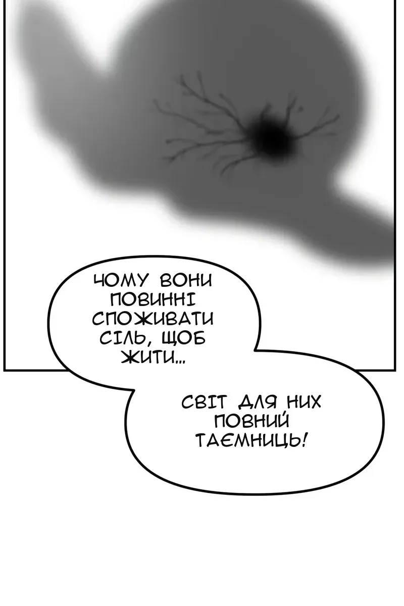 Сторінка 29