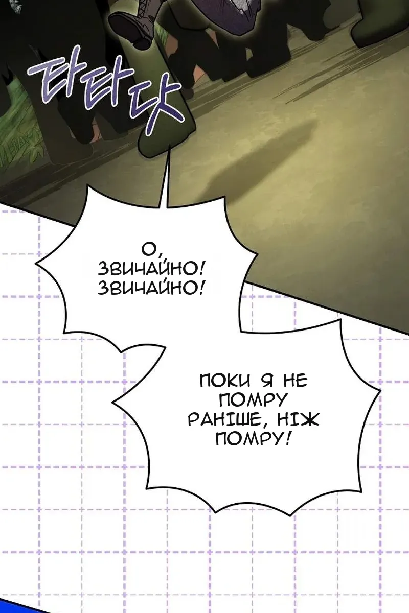 Сторінка 17