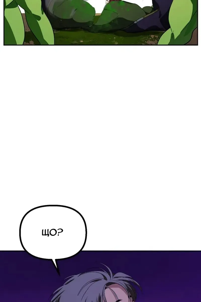 Сторінка 71