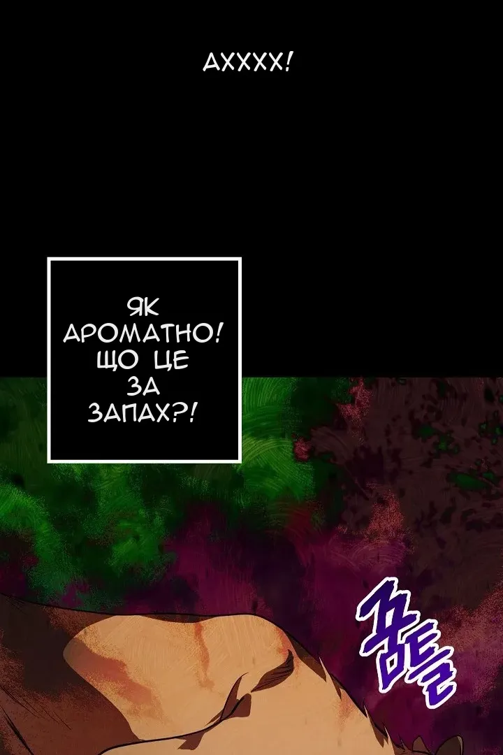 Сторінка 14