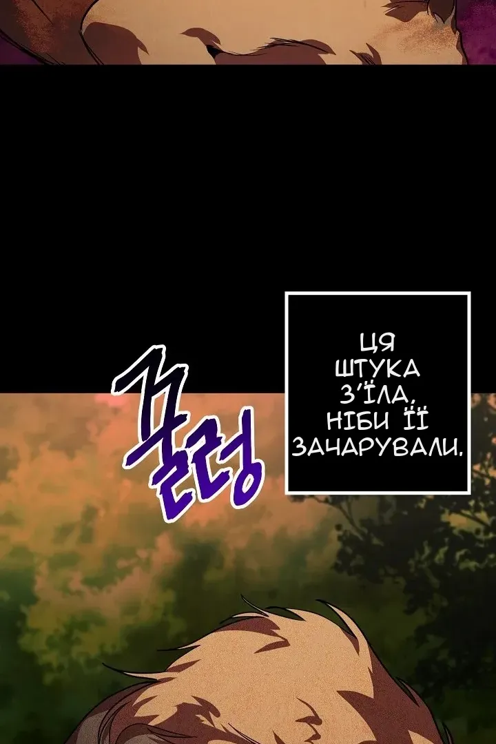 Сторінка 15