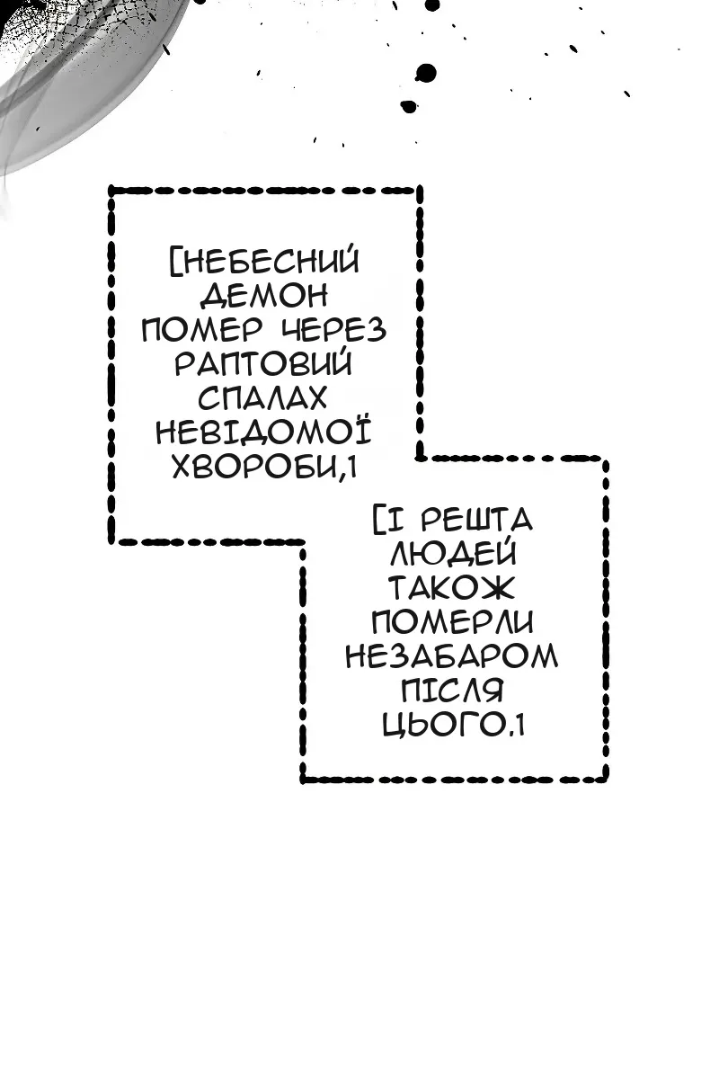 Сторінка 29