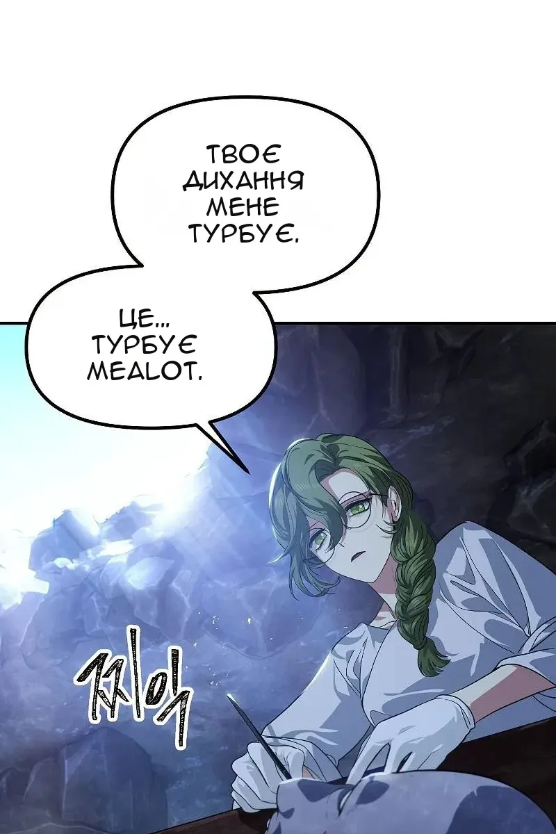 Сторінка 40
