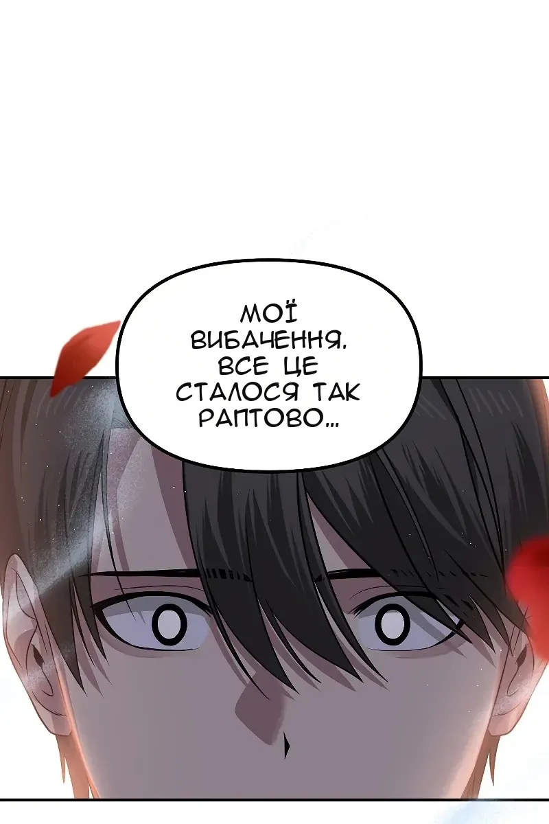 Сторінка 19