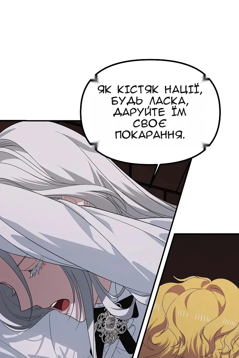Сторінка 17