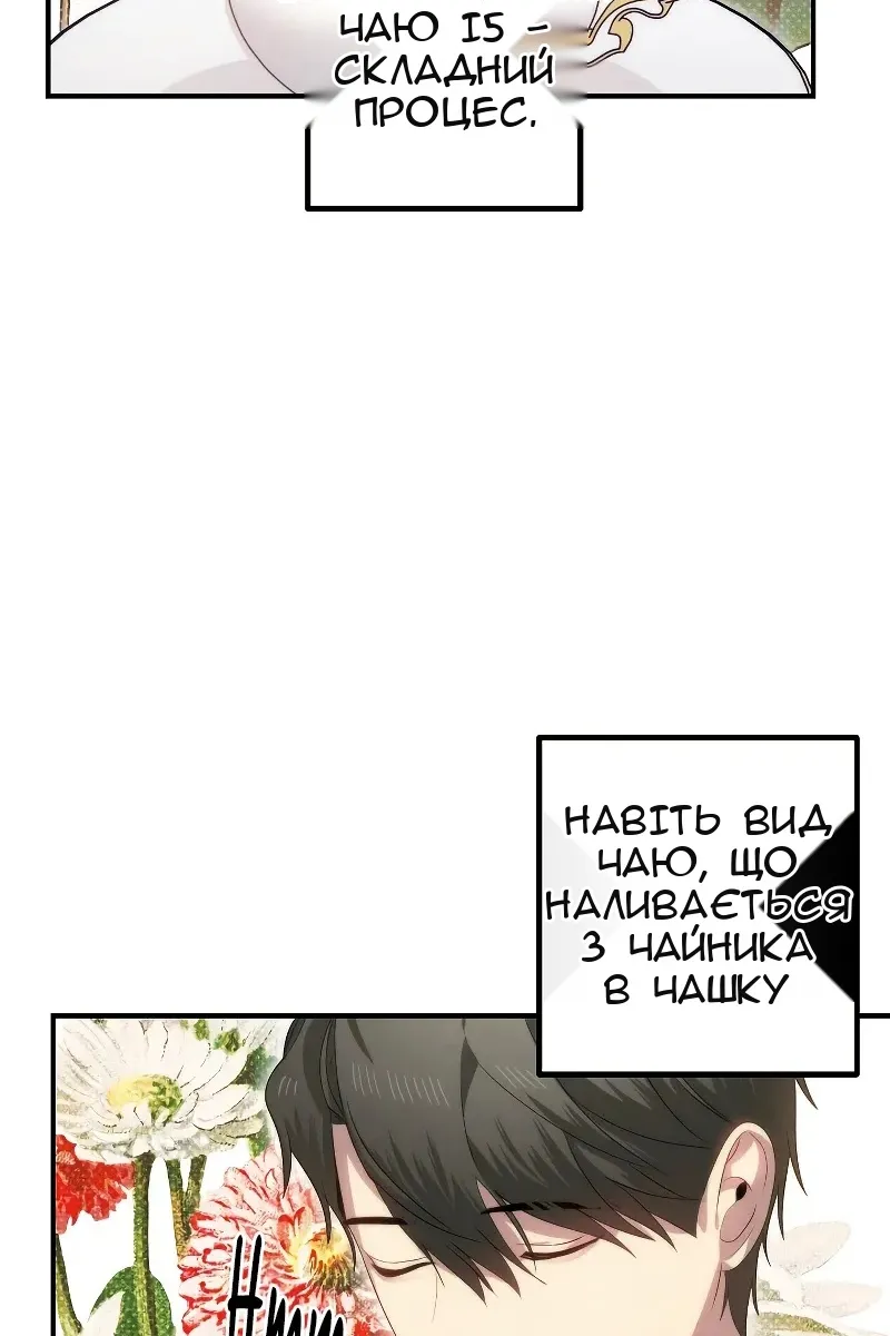 Сторінка 11