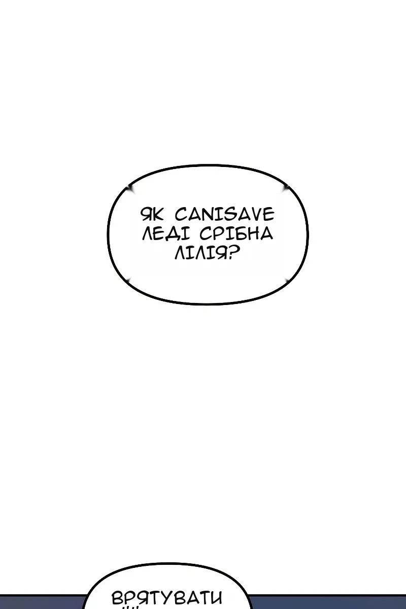 Сторінка 29