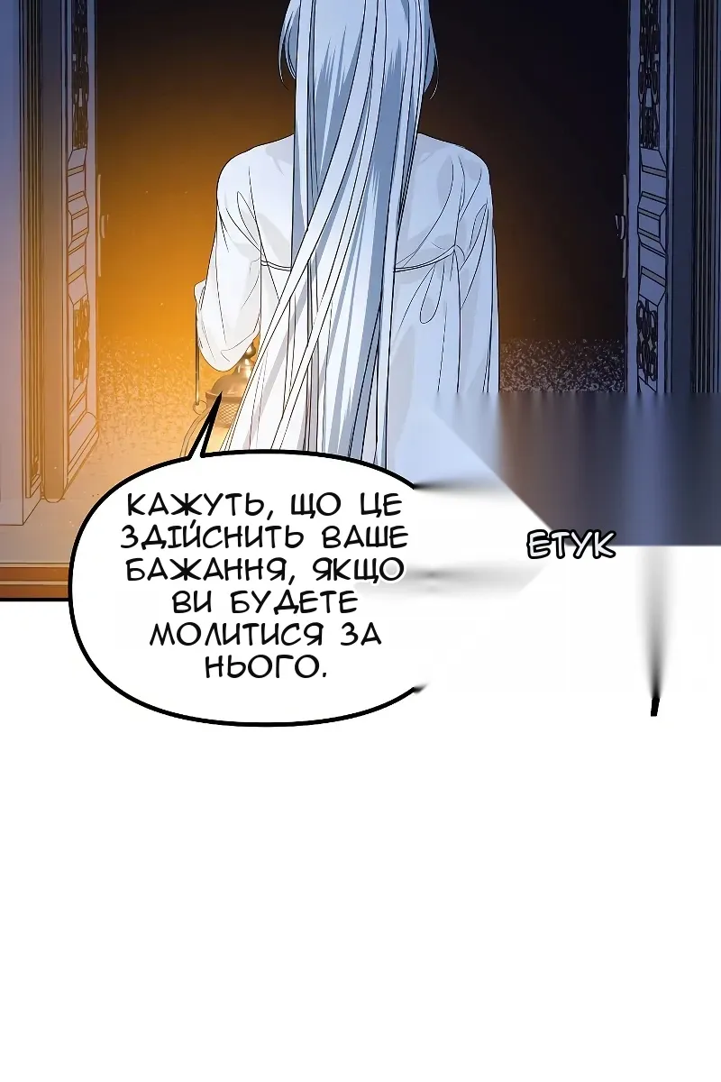 Сторінка 111