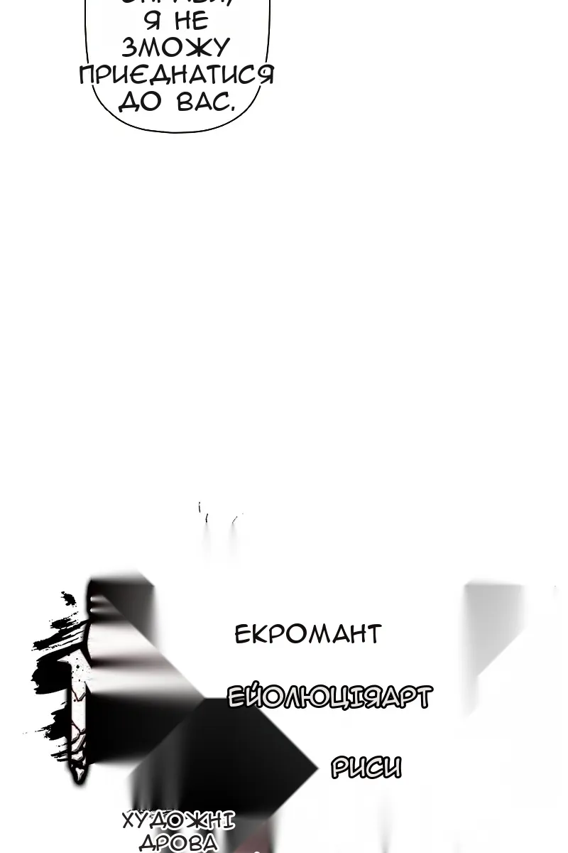 Сторінка 17