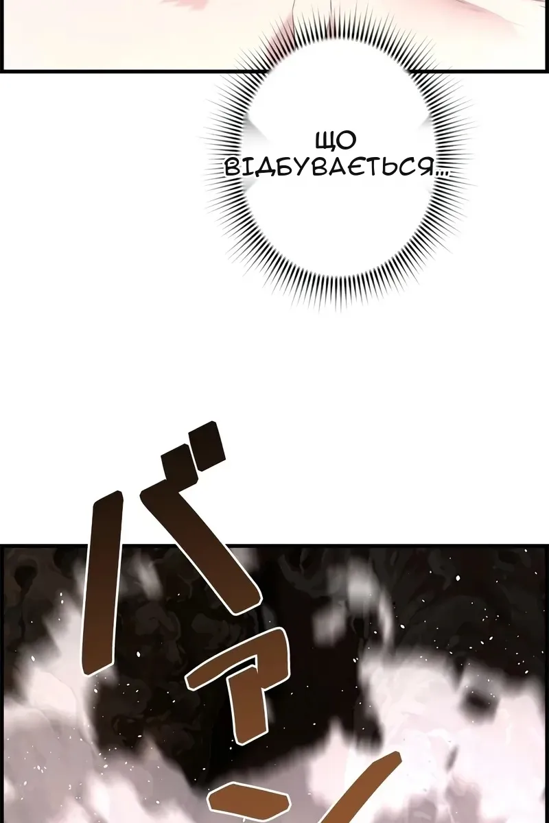 Сторінка 115