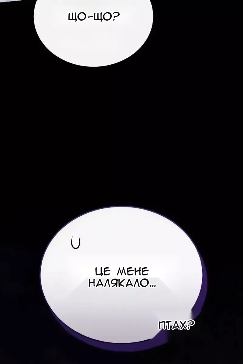 Сторінка 27