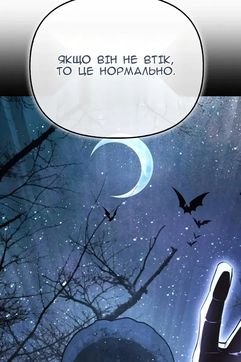 Сторінка 41
