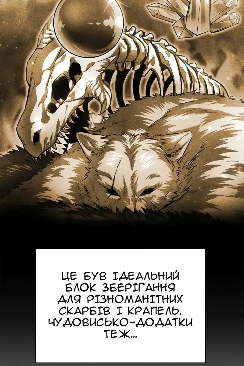Сторінка 29