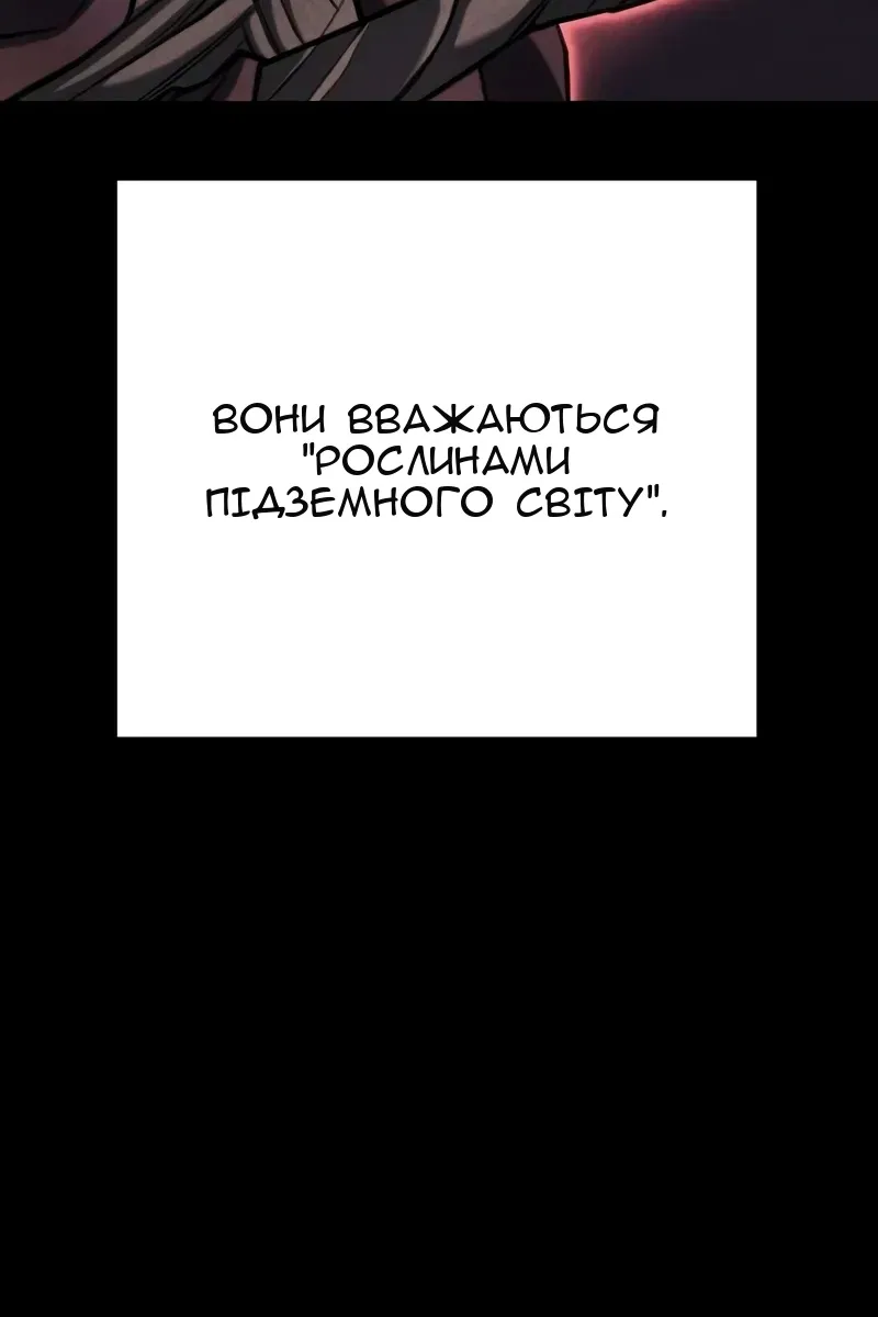Сторінка 61