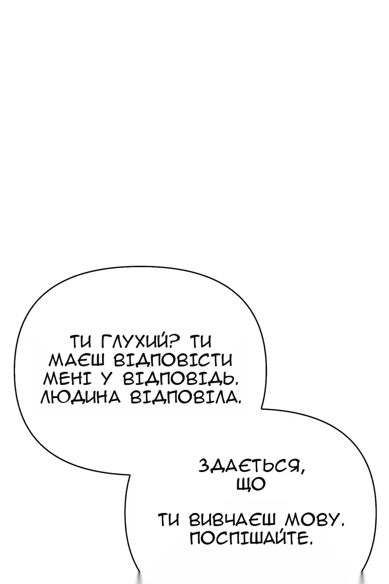 Сторінка 17