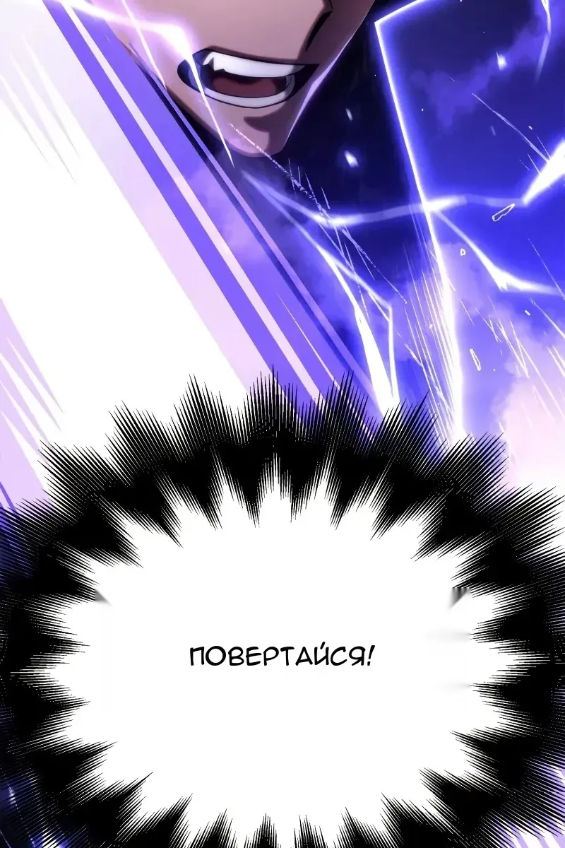 Сторінка 231