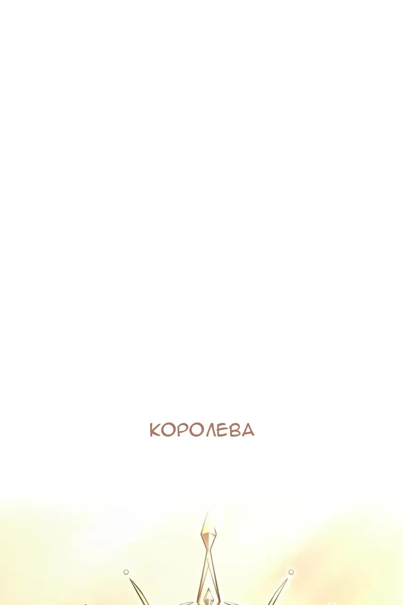 Сторінка 8