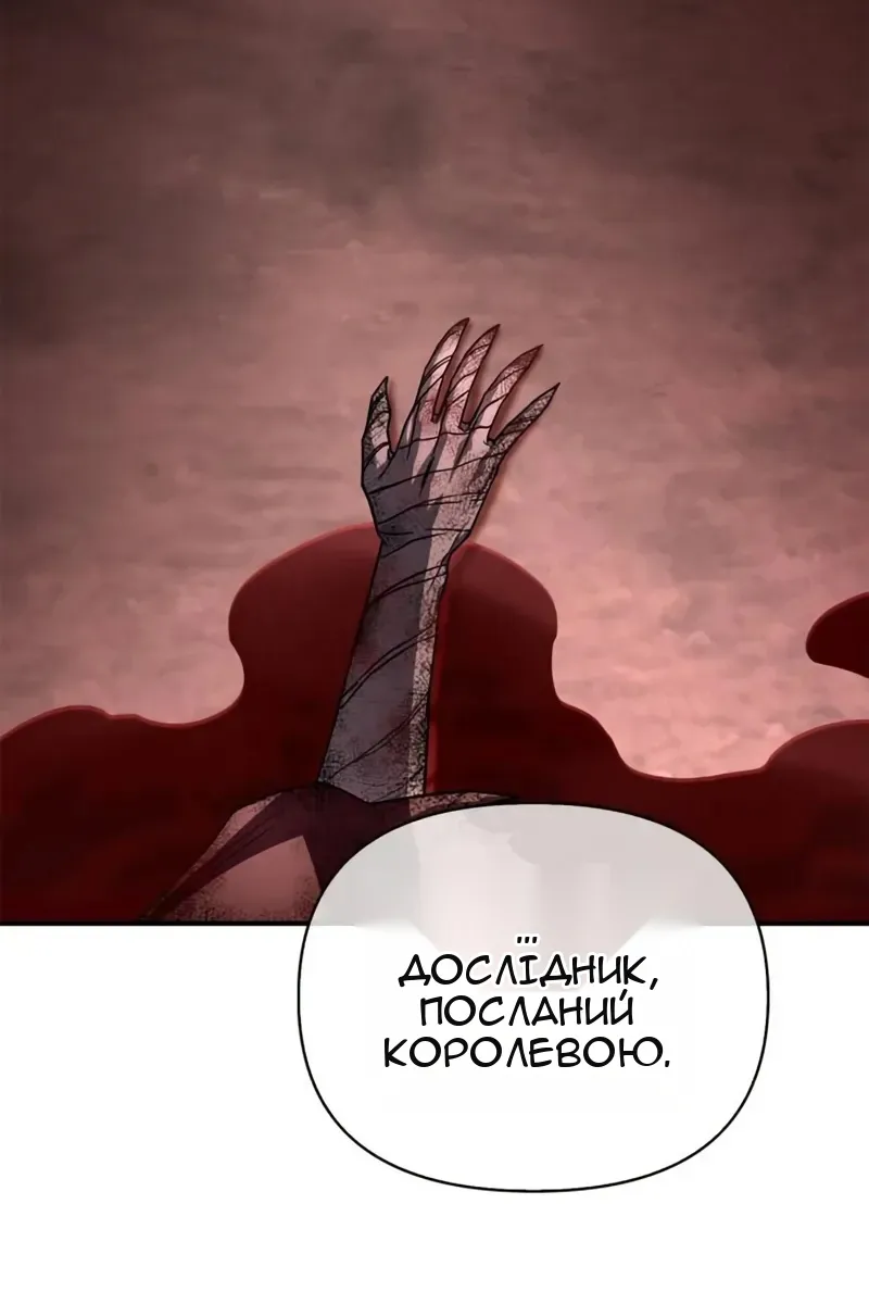 Сторінка 19