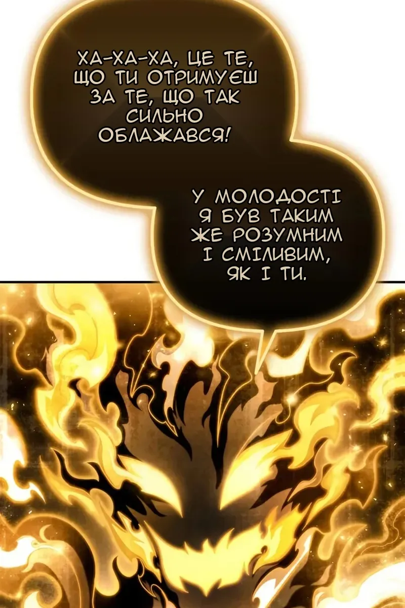 Сторінка 29
