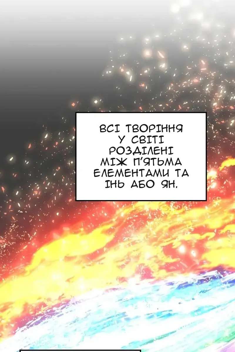Сторінка 29