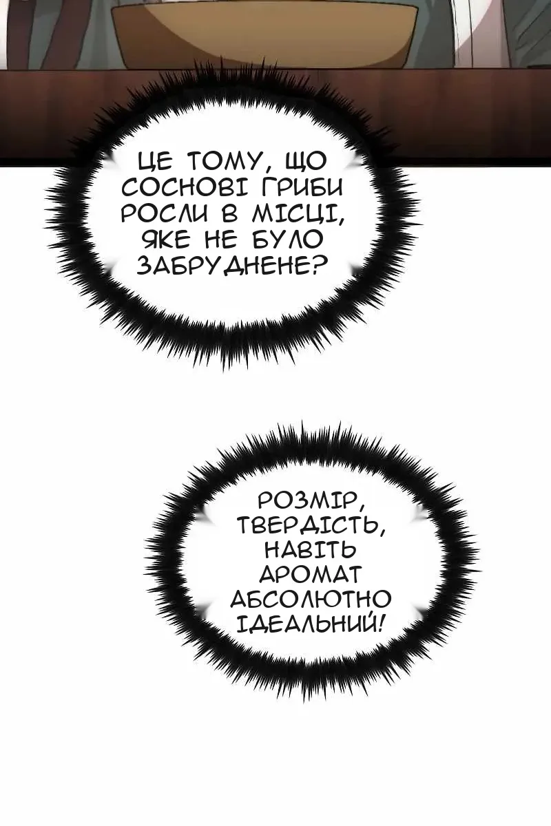 Сторінка 14