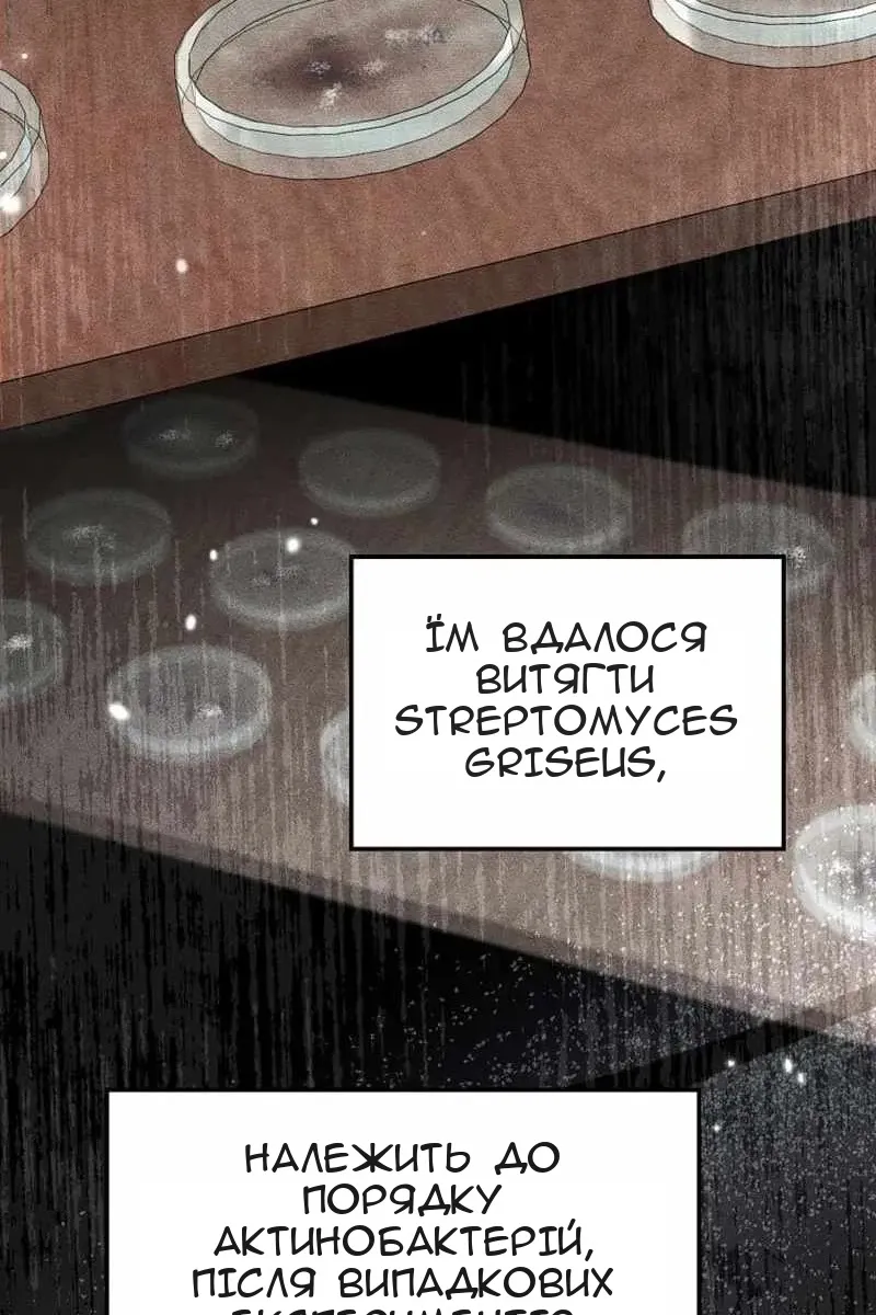 Сторінка 6