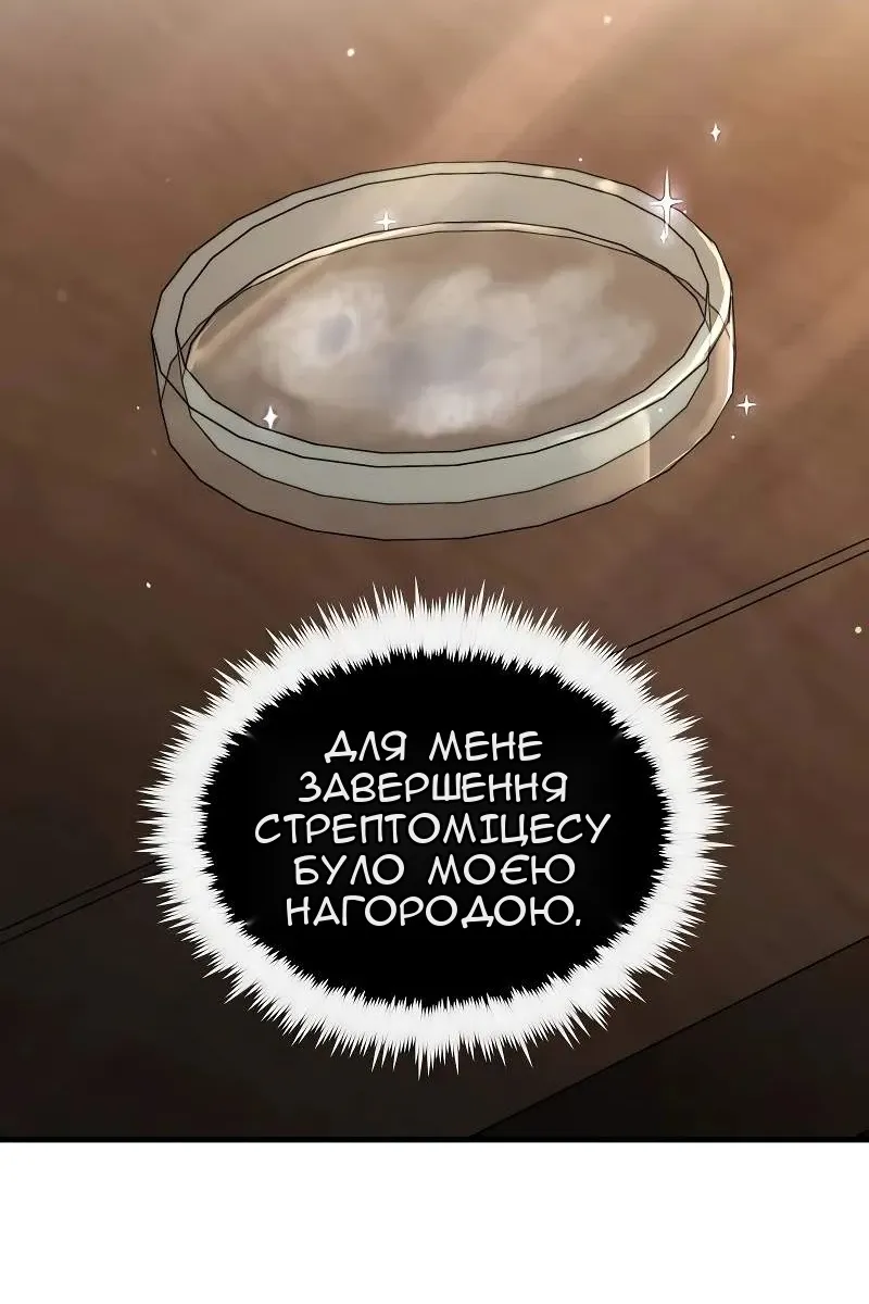 Сторінка 13