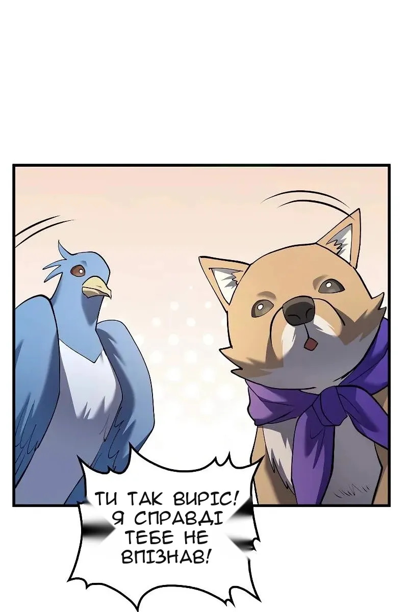 Сторінка 71