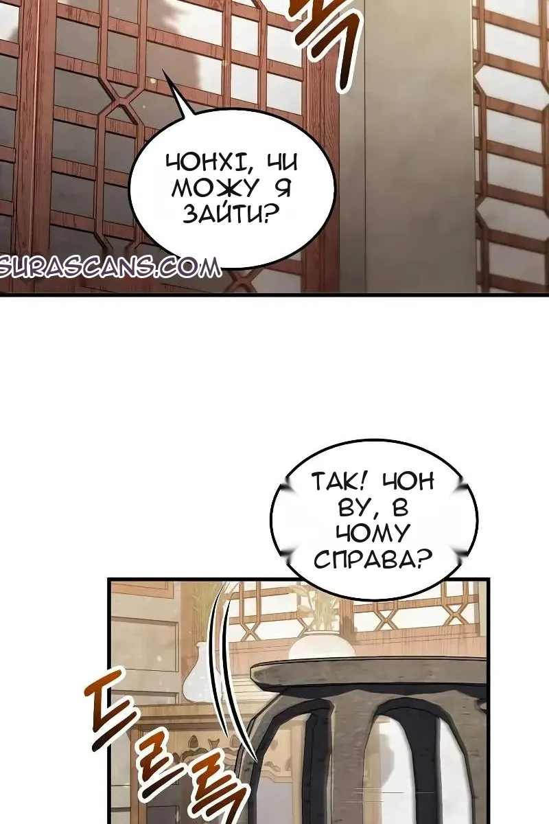 Сторінка 17
