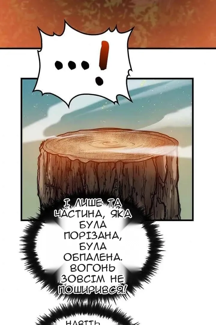Сторінка 47