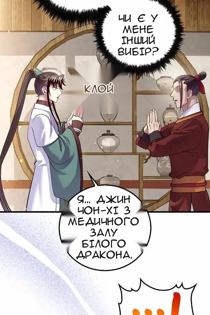 Сторінка 29