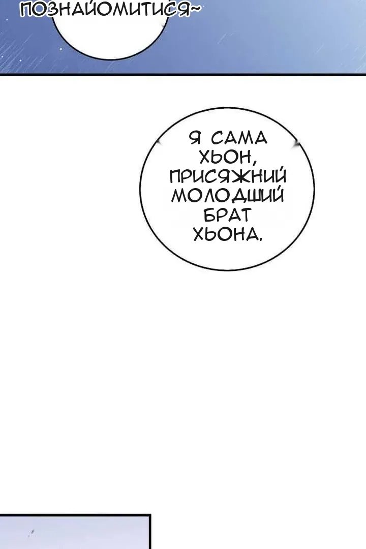 Сторінка 29
