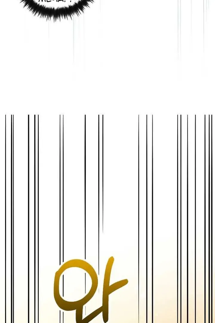 Сторінка 33