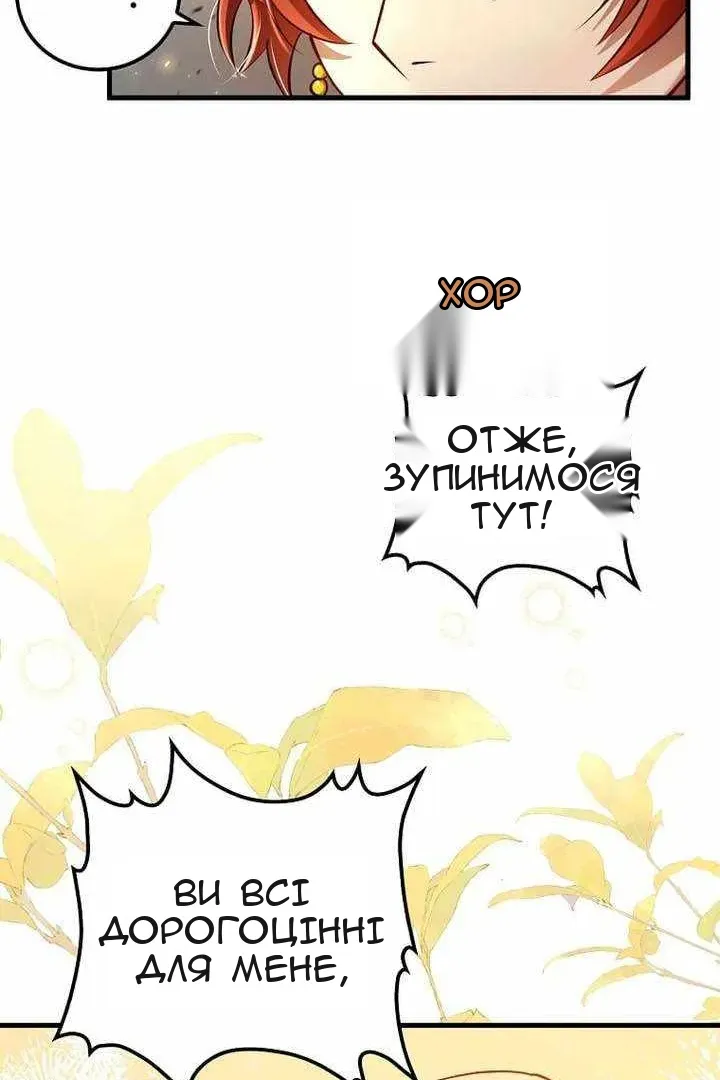 Сторінка 17