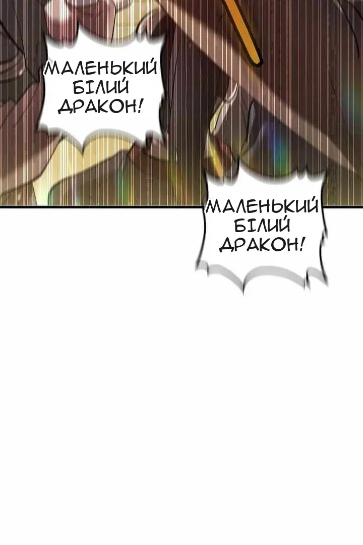 Сторінка 111