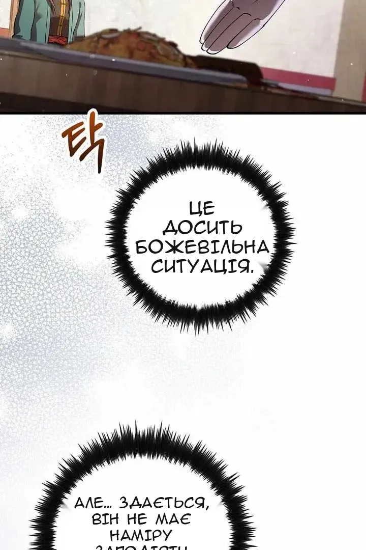 Сторінка 17