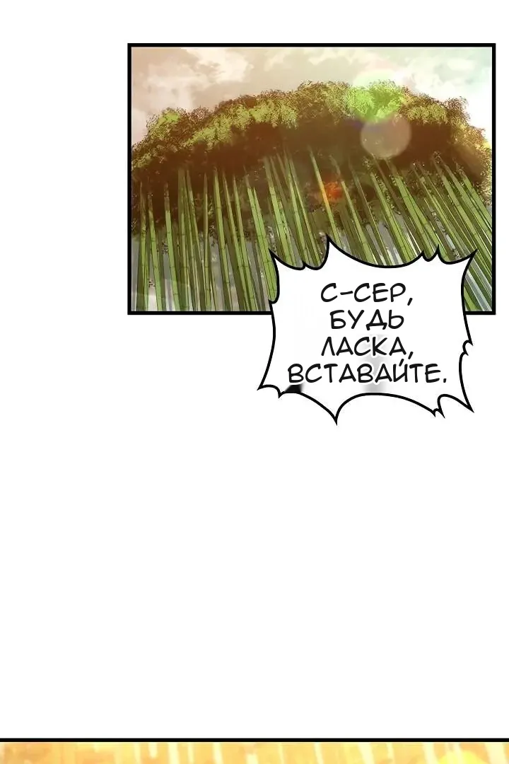 Сторінка 3