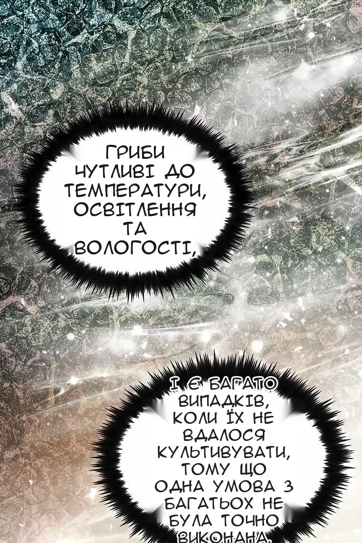 Сторінка 39