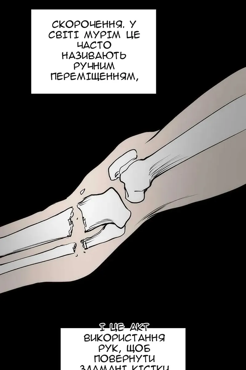 Сторінка 41