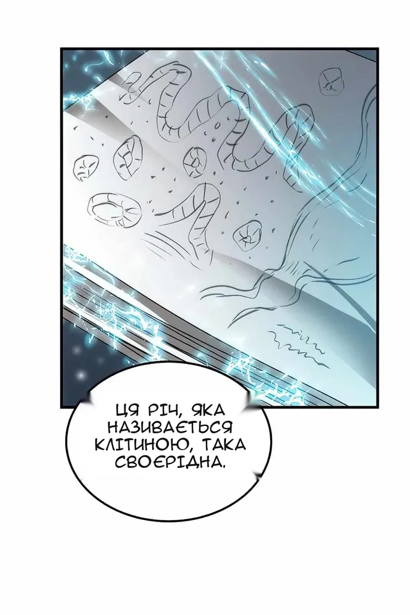 Сторінка 8