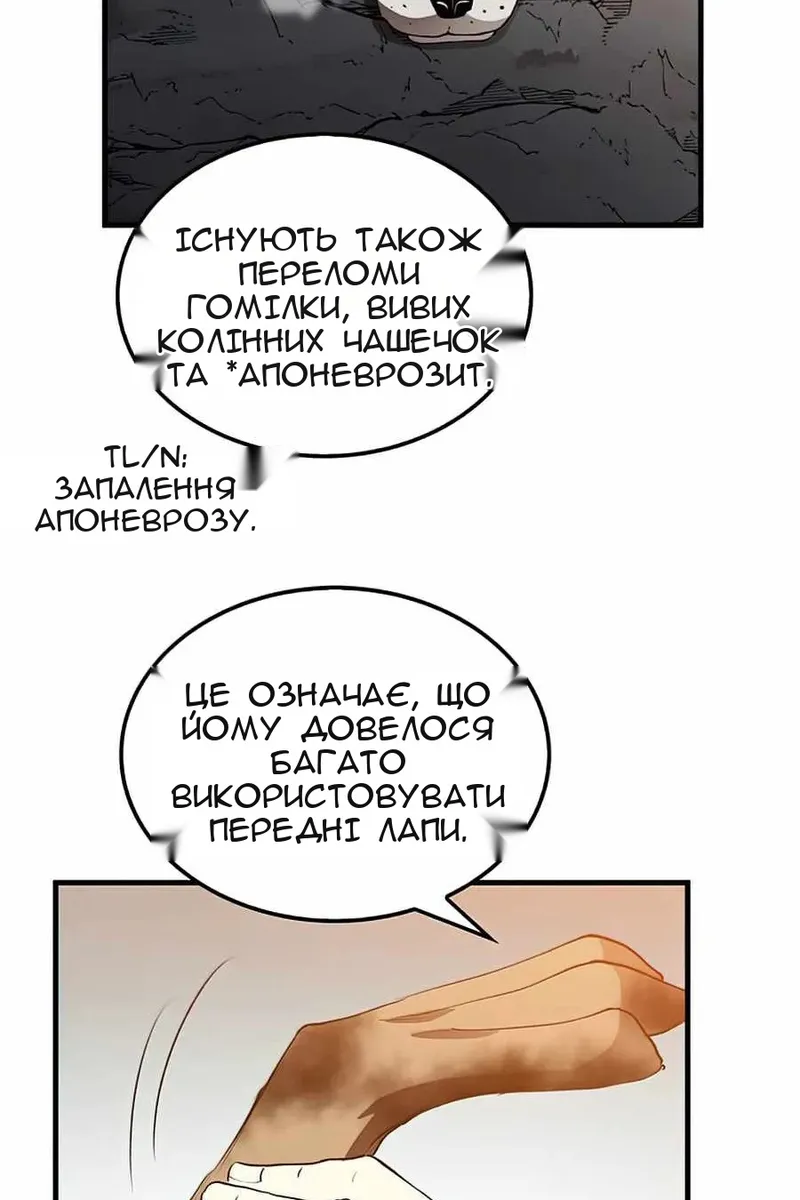Сторінка 81