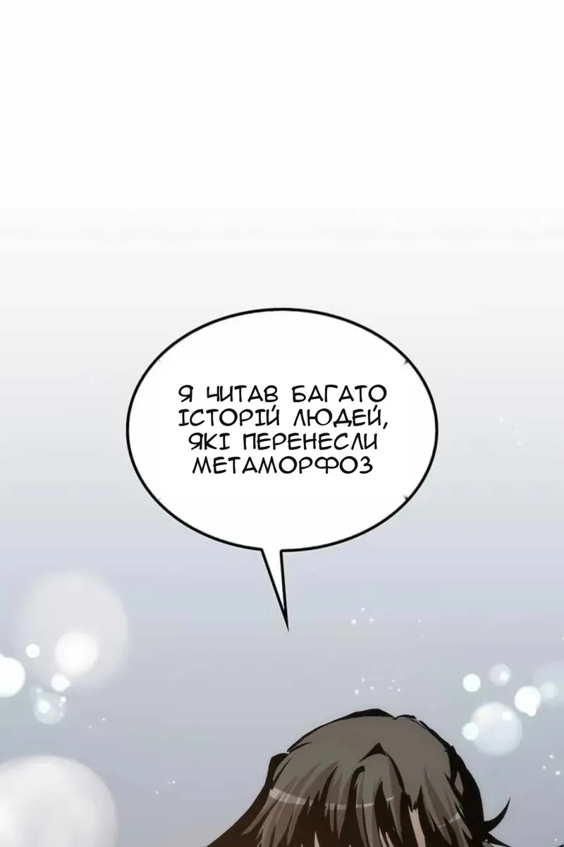 Сторінка 41