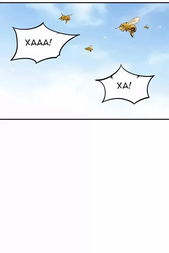 Сторінка 5