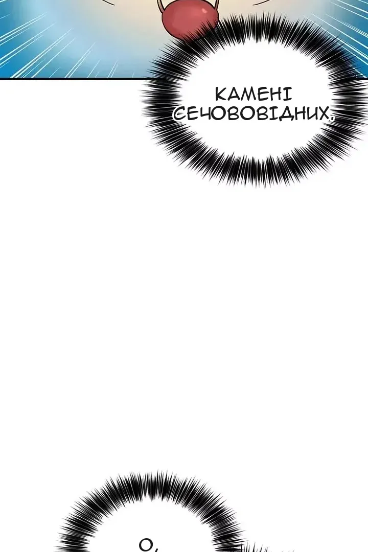 Сторінка 28