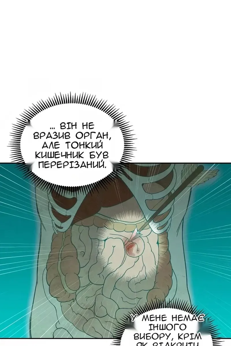 Сторінка 17