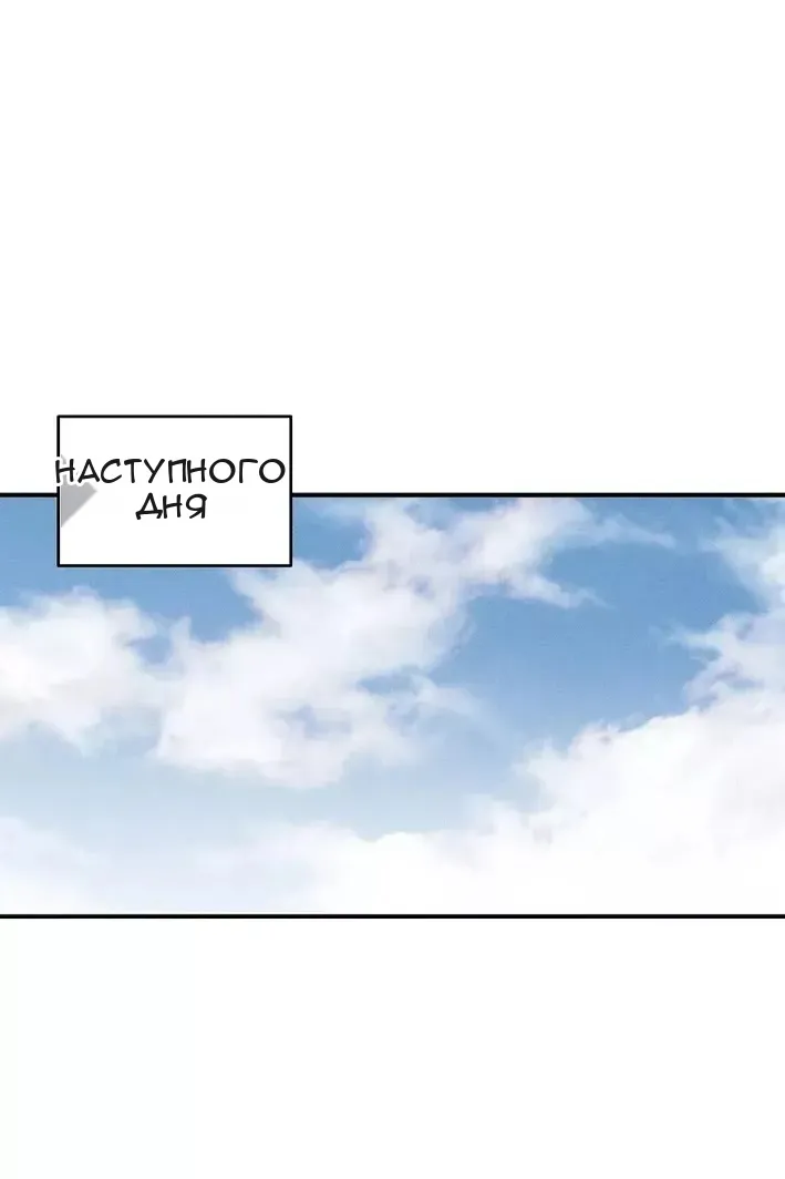 Сторінка 11